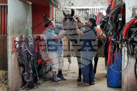 Central Park Horse Carriages