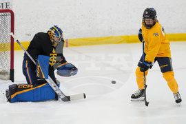 PWHL Sceptres Hockey