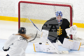 PWHL Sceptres Hockey