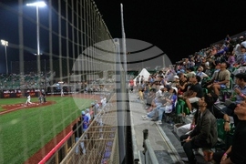 Emirates Baseball United