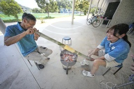 Japan Germany Baumkuchen Cake