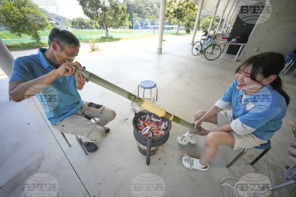 Japan Germany Baumkuchen Cake