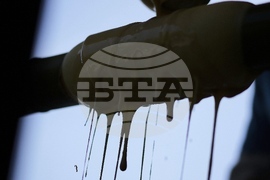 Japan Germany Baumkuchen Cake