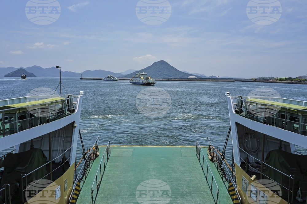 Japan Germany Baumkuchen Cake