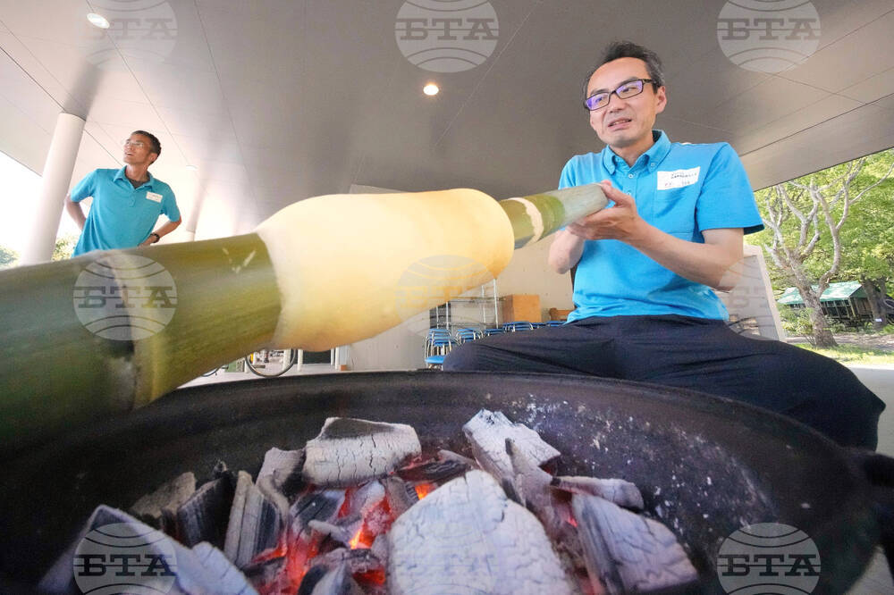 Japan Germany Baumkuchen Cake
