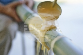 Japan Germany Baumkuchen Cake