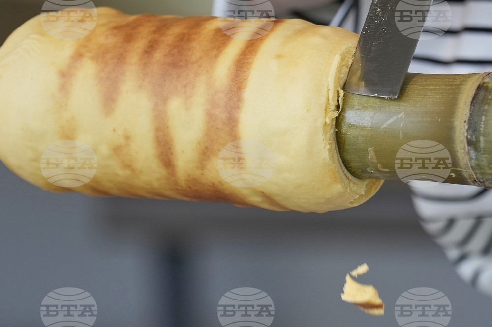 Japan Germany Baumkuchen Cake