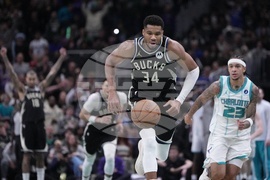 Hornets Bucks Basketball