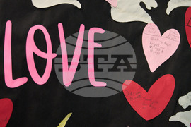 Alaska Typhoon Aftermath Education