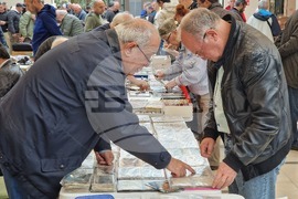 Стара Загора - нумизматично дружество - сбирка