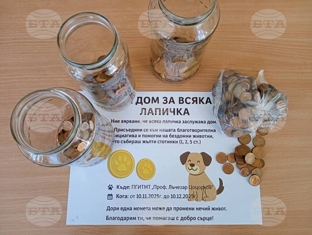 Жълти стотинки се събират от ученици и учители в подкрепа на центъра за временно настаняване на животни в Панагюрище
