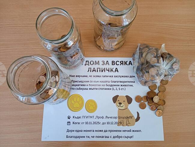 Жълти стотинки се събират от ученици и учители в подкрепа на центъра за временно настаняване на животни в Панагюрище