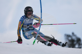 Finland Alpine Skiing World Cup