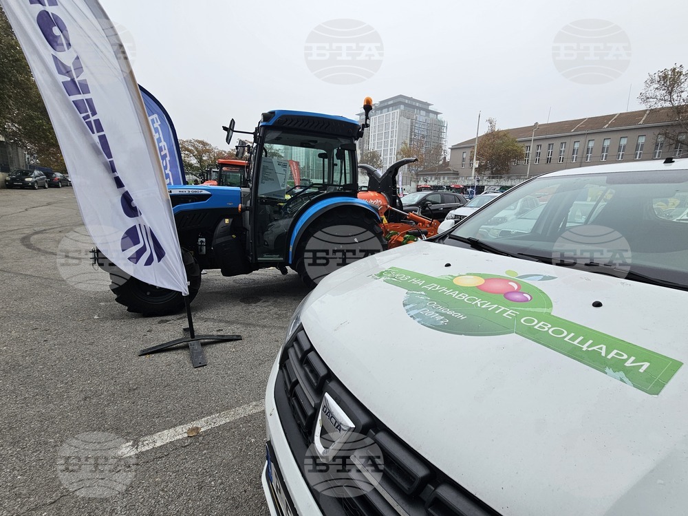 Русе - изложение - овощари