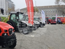 Русе - изложение - овощари