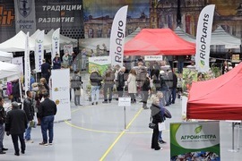 Русе - изложение - овощари