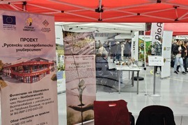 Русе - изложение - овощари