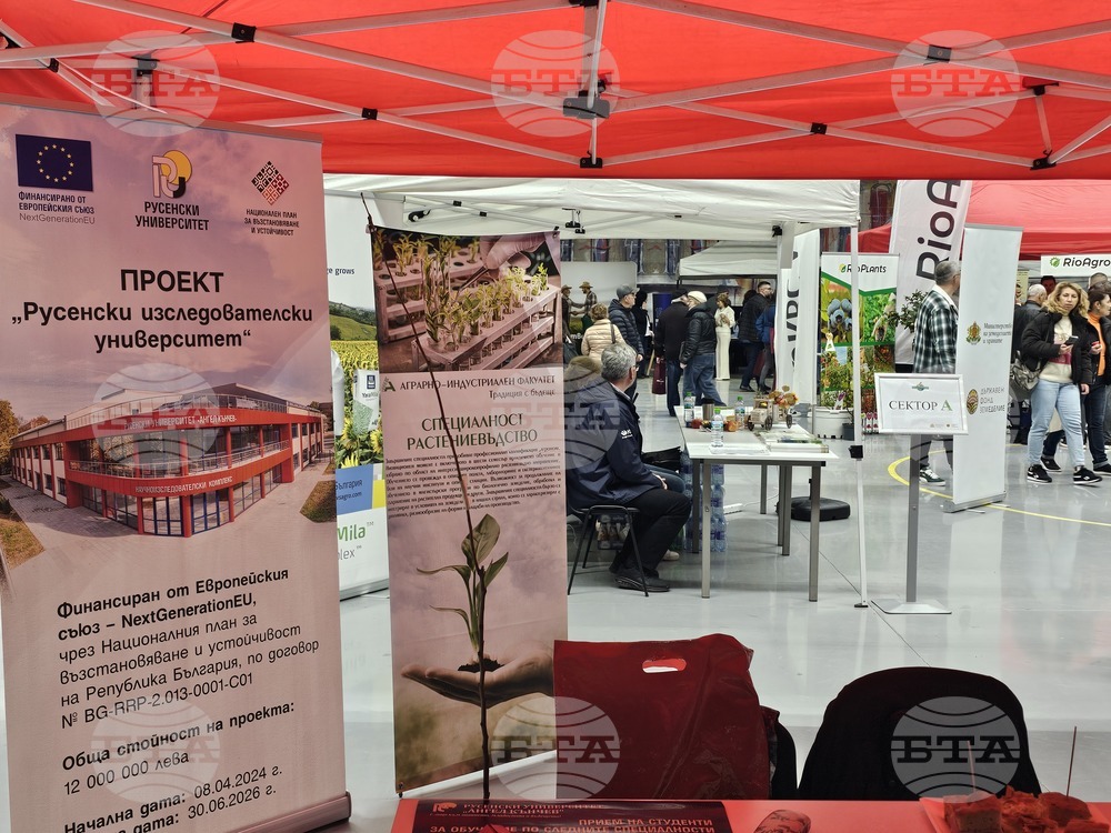 Русе - изложение - овощари