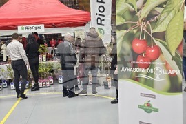 Русе - изложение - овощари