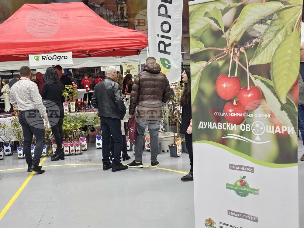 Русе - изложение - овощари