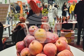 Русе - изложение - овощари