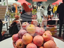 Русе - изложение - овощари