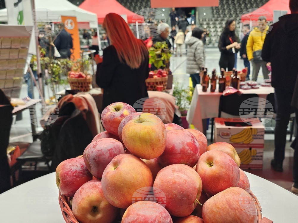 Русе - изложение - овощари