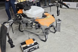 Русе - изложение - овощари