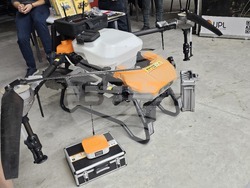 Русе - изложение - овощари