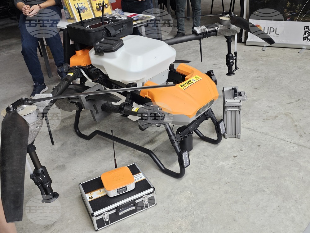 Русе - изложение - овощари