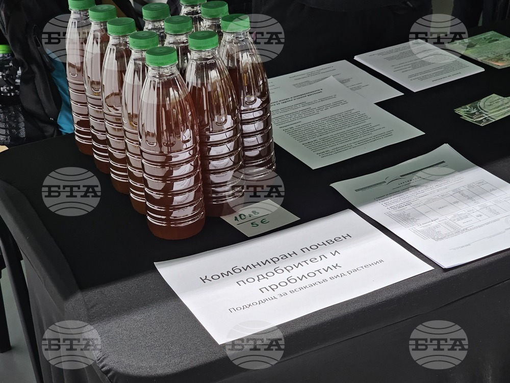 Русе - изложение - овощари