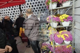 Русе - изложение - овощари