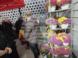 Русе - изложение - овощари