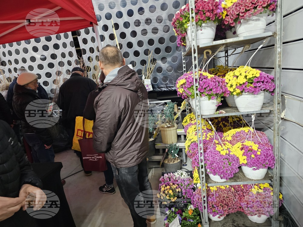 Русе - изложение - овощари