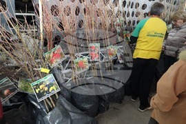 Русе - изложение - овощари