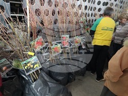 Русе - изложение - овощари