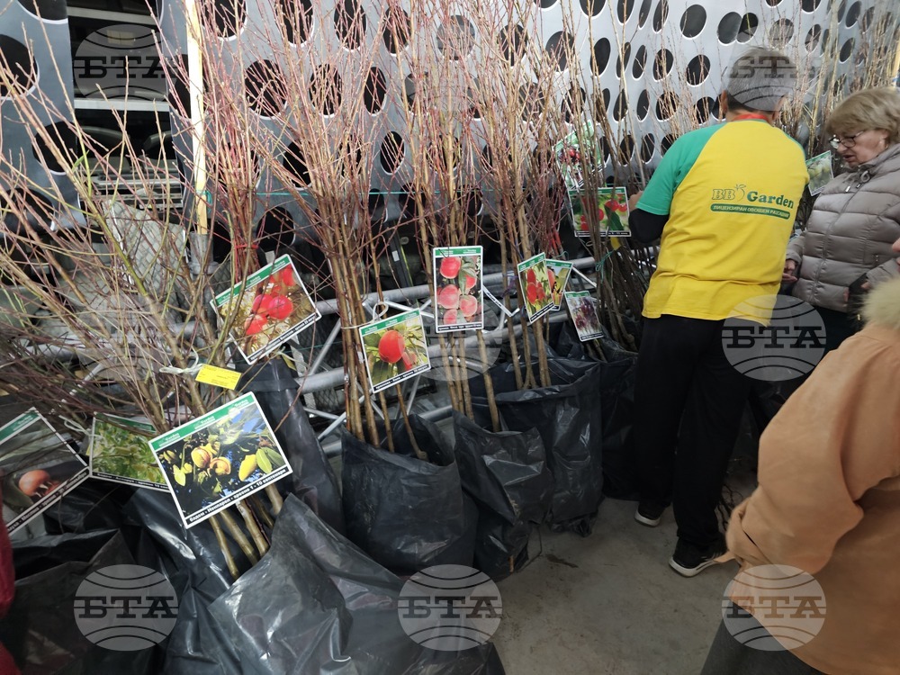 Русе - изложение - овощари