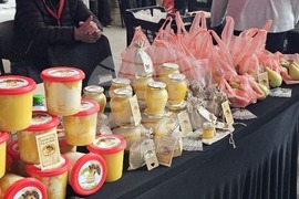 Русе - изложение - овощари