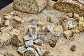 Русе - изложение - овощари