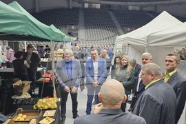 Русе - изложение - овощари