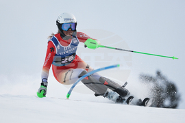 Finland Alpine Skiing World Cup
