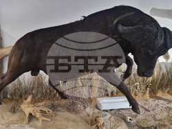 Пловдив – Природонаучен музей – зоокафе