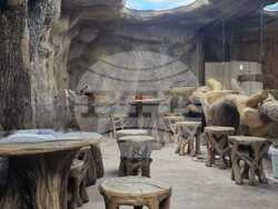 Пловдив – Природонаучен музей – зоокафе