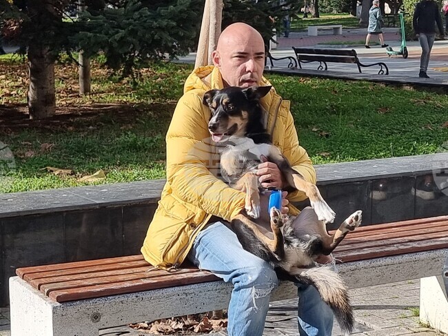 Rallies in Sofia, Varna Demand Effective Penalties for Acts of Animal Cruelty