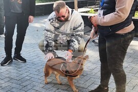 Варна - протест - животни