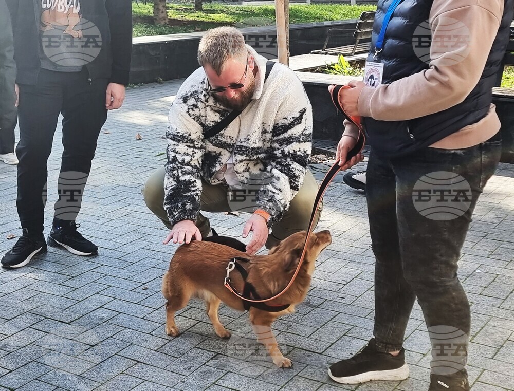 Варна - протест - животни