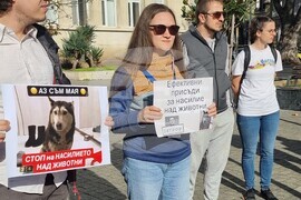Варна - протест - животни