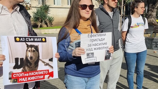 Протестиращи варненци поискаха ефективни присъди за насилие над животни