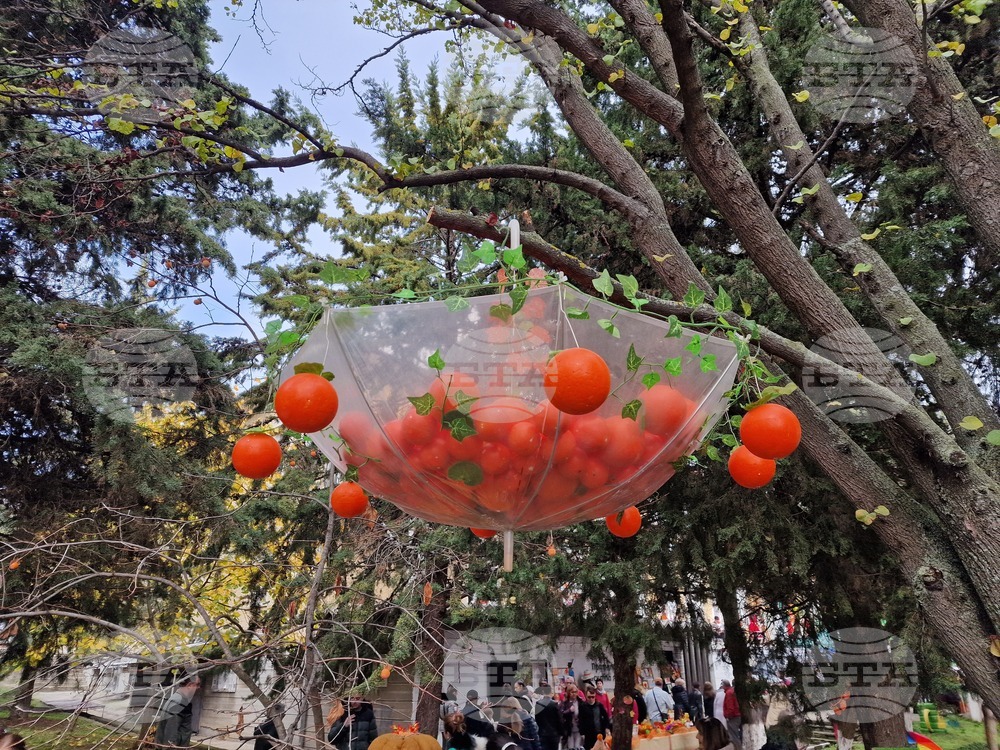 Село Хрищени - празник на райската ябълка