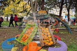 Село Хрищени - празник на райската ябълка